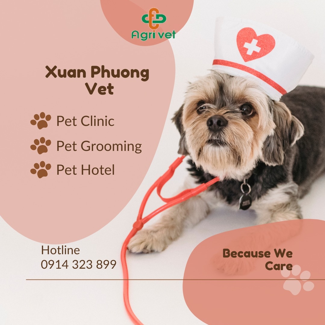 Phòng Khám Thú Y Xuân Phương ảnh 1