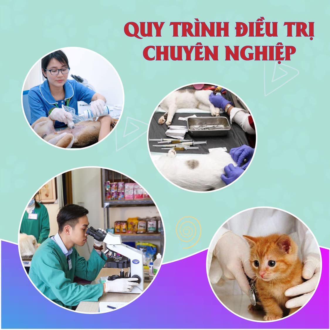 Phòng khám thú y FairyPet ảnh 1