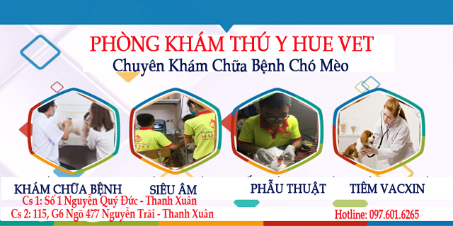 Phòng khám thú y HUE VET ảnh 1