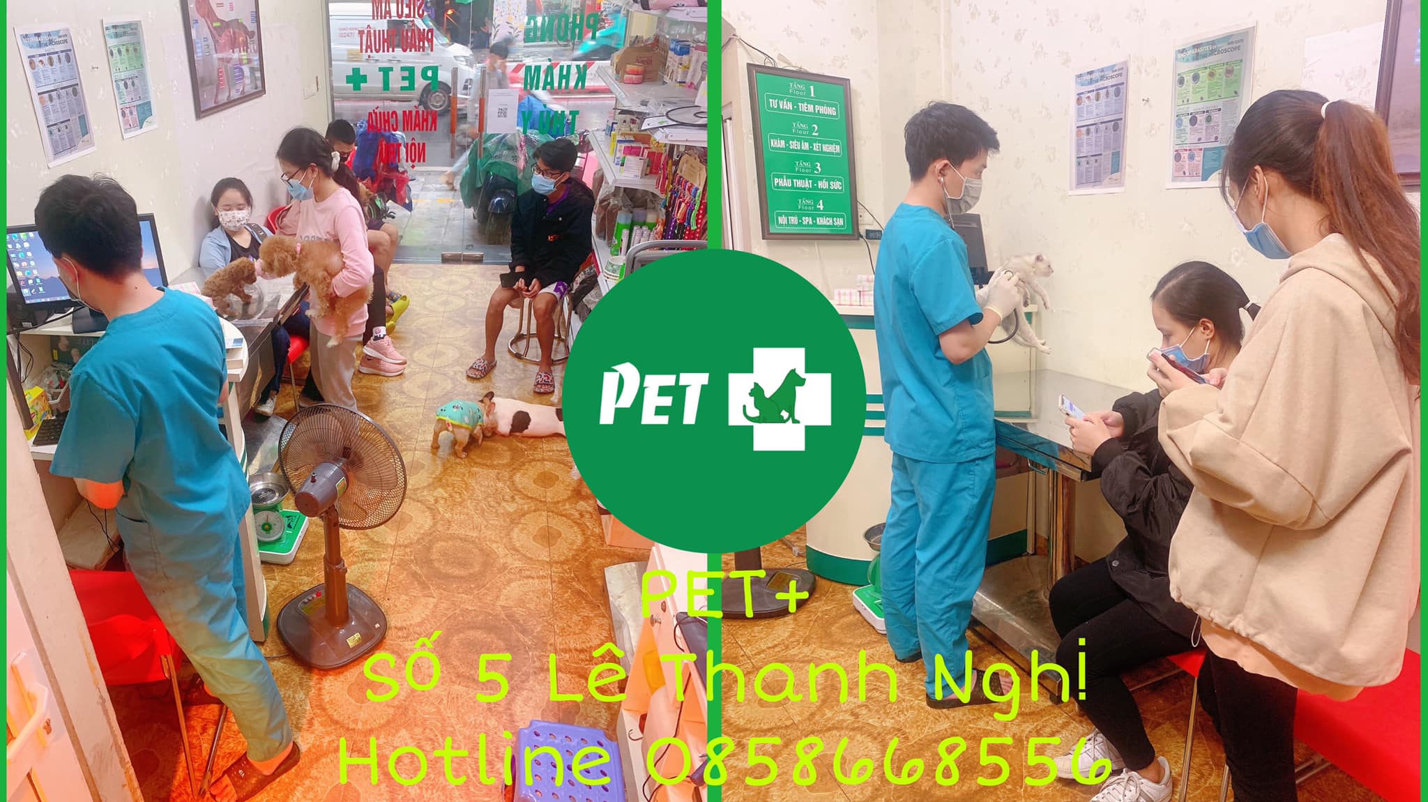 Phòng khám thú y Pet + ảnh 1