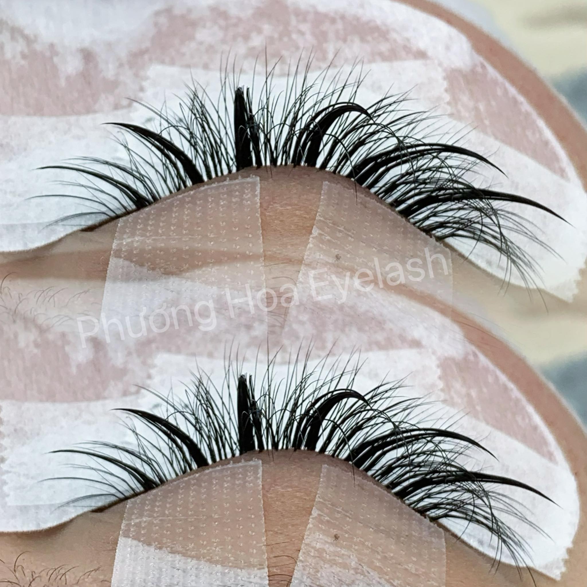 Phương Hoa's Eyelash ảnh 2