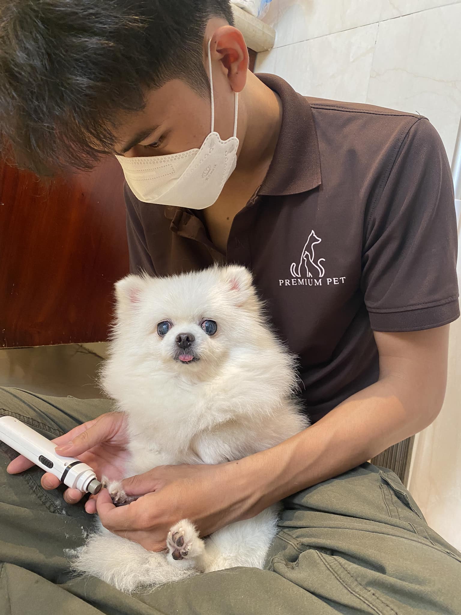 Premium Pet ảnh 1