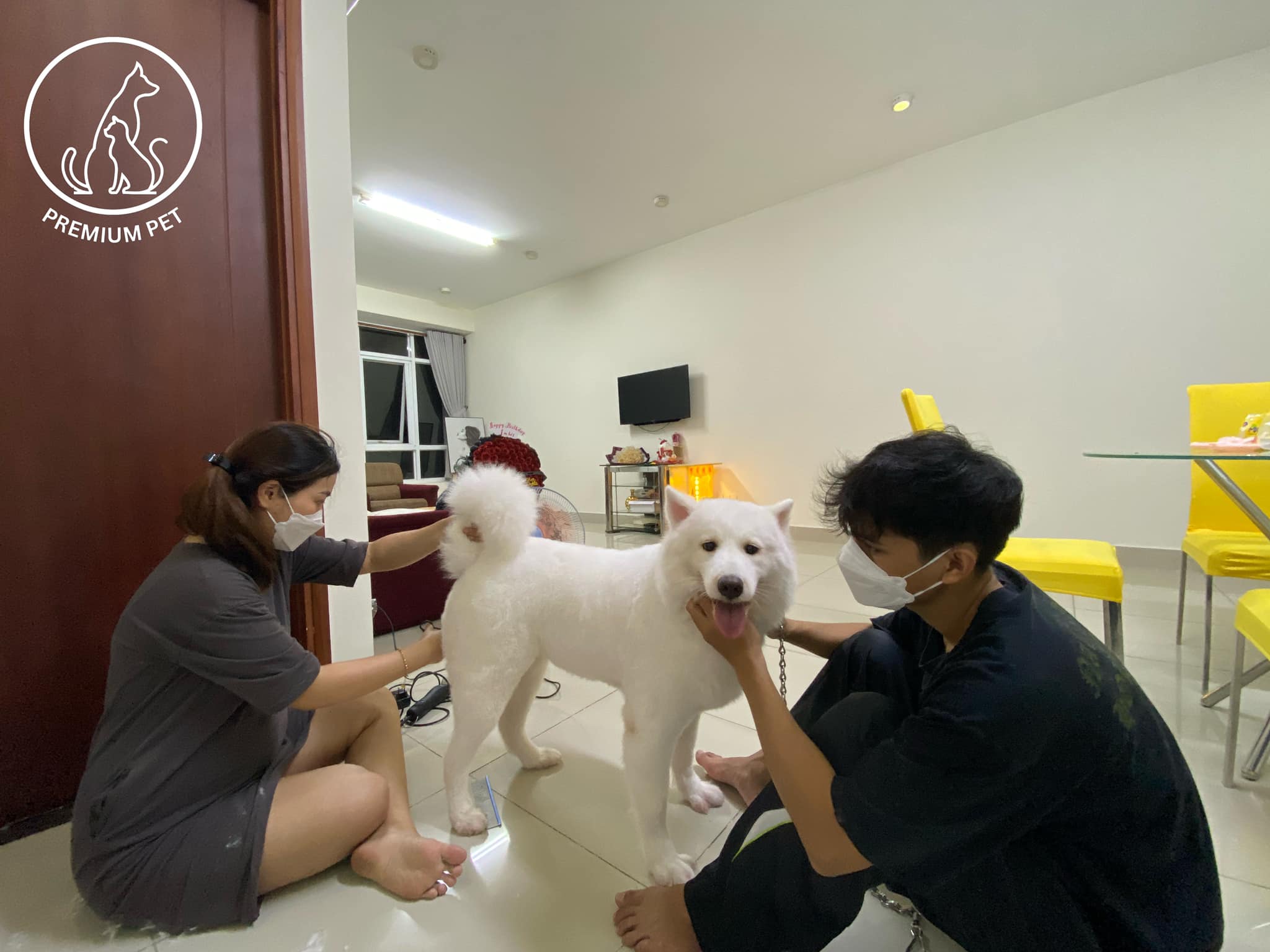 Premium Pet ảnh 2