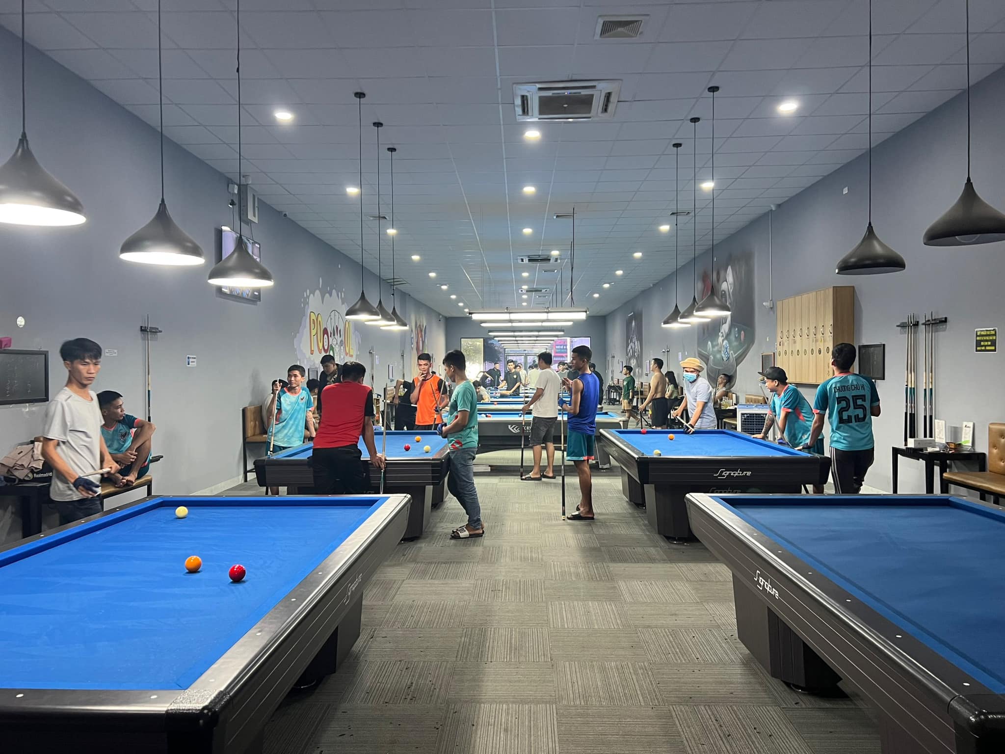 Pro Billiards ảnh 1