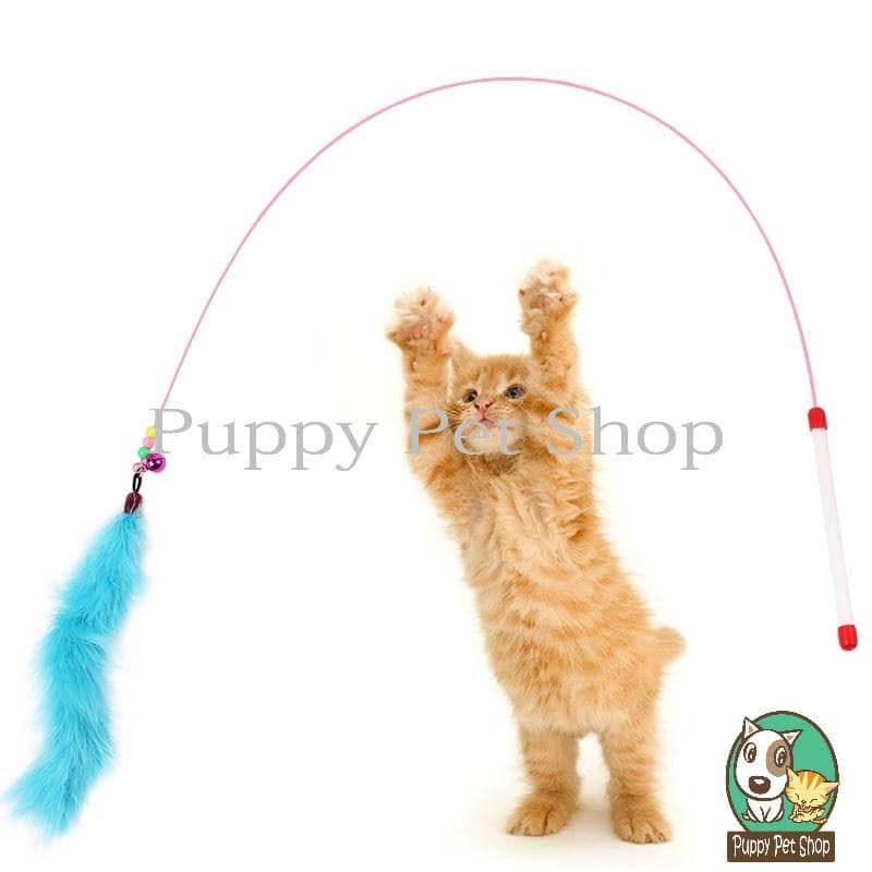Puppy Pet Shop ảnh 1
