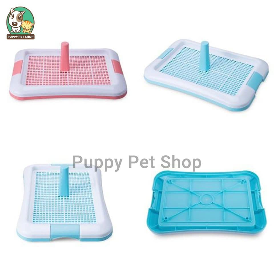 Puppy Pet Shop ảnh 2