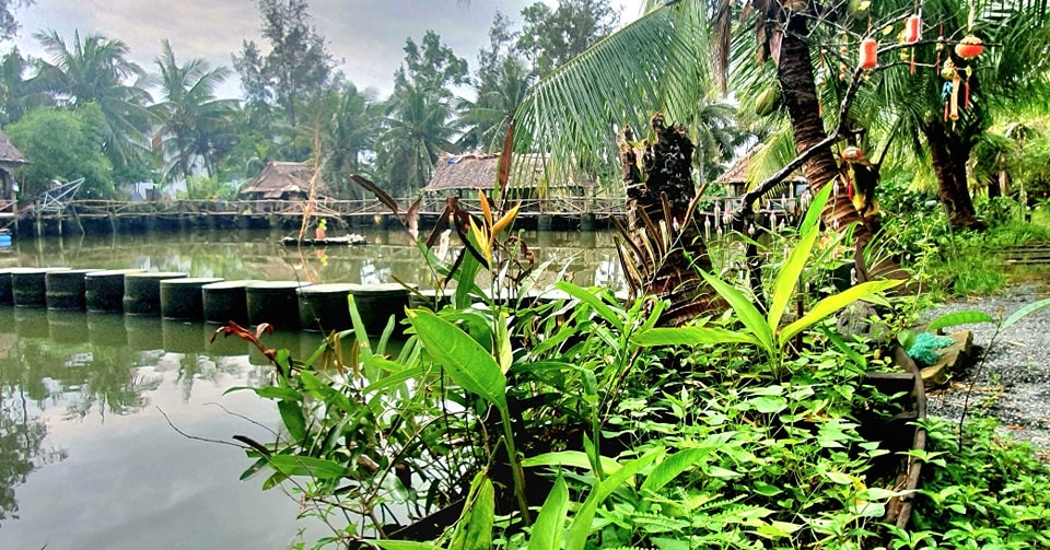 Quoc Linh Eco Village ảnh 1