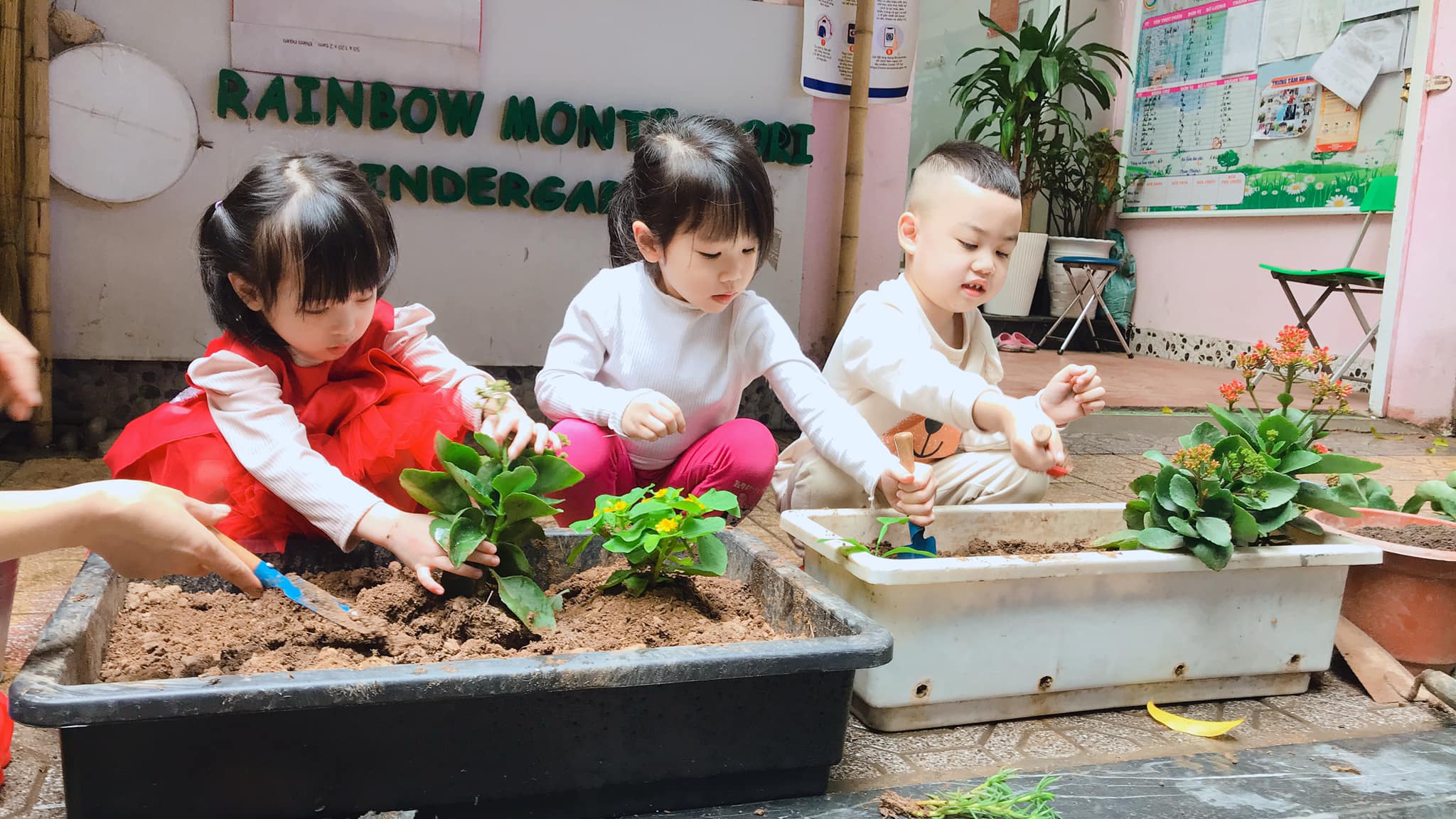 Rainbow Montessori Kindergarten ảnh 2