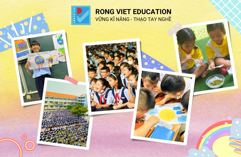 Rồng Việt Education ảnh 1
