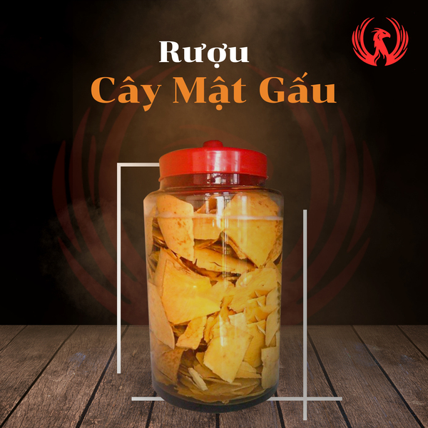 Rượu cây mật gấu ảnh 1