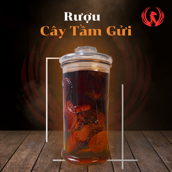 Rượu cây tầm gửi ảnh 1