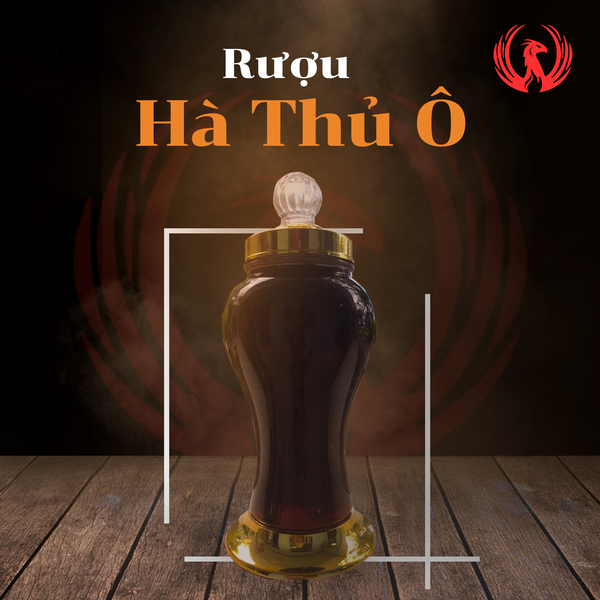 Rượu hà thủ ô ảnh 1