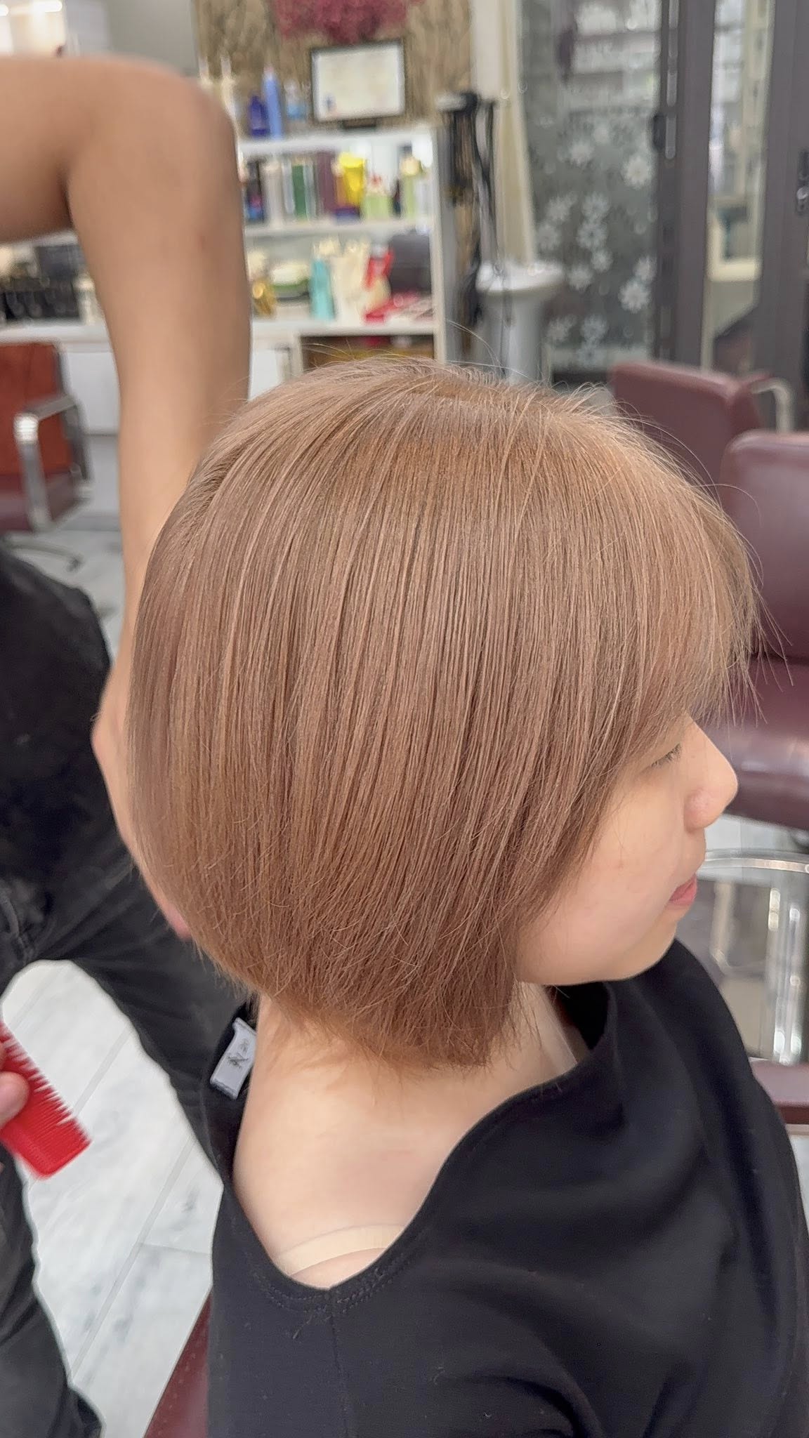 Salon Nguyễn ảnh 2