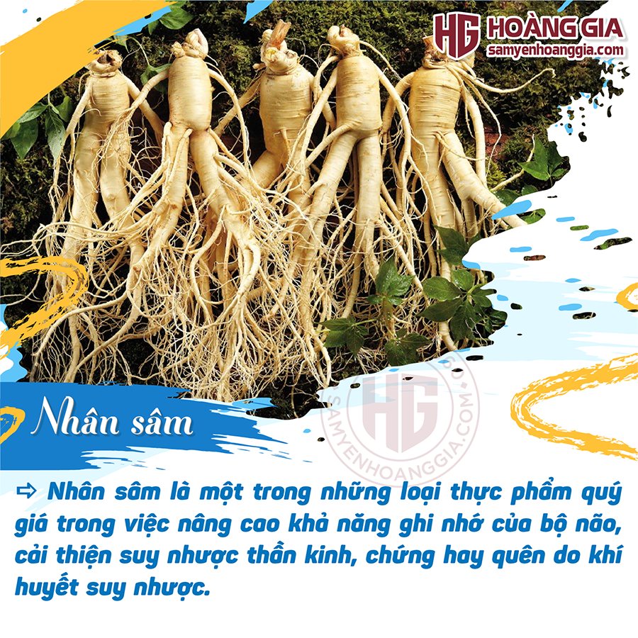 Sâm Yến Hoàng Gia ảnh 2