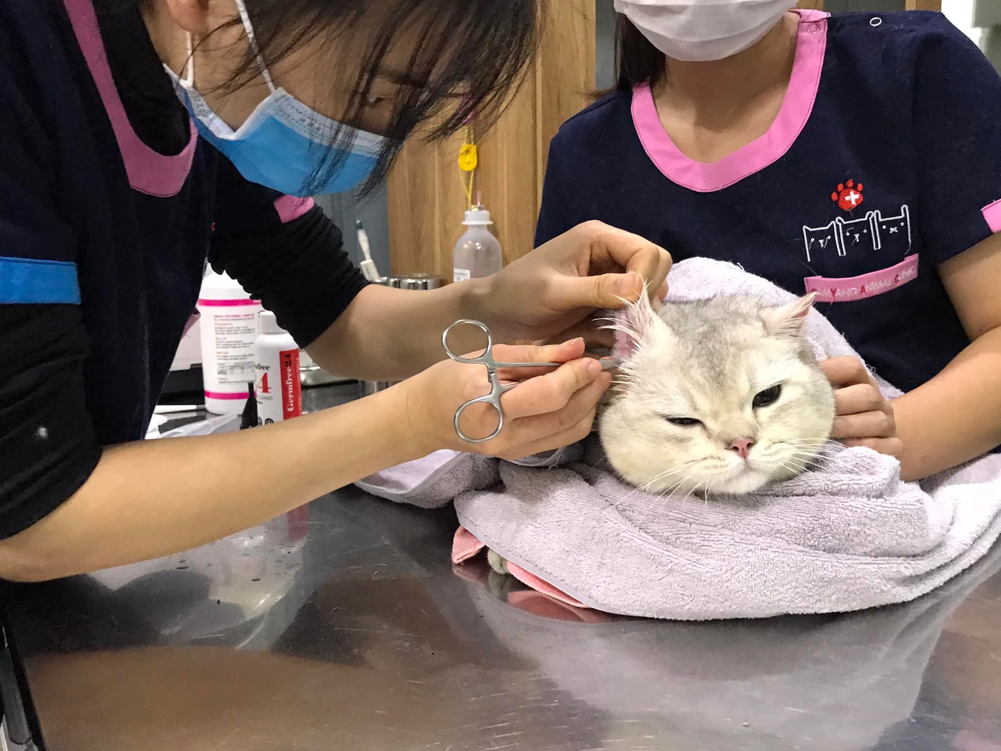 Samyang Animal Clinic ảnh 1