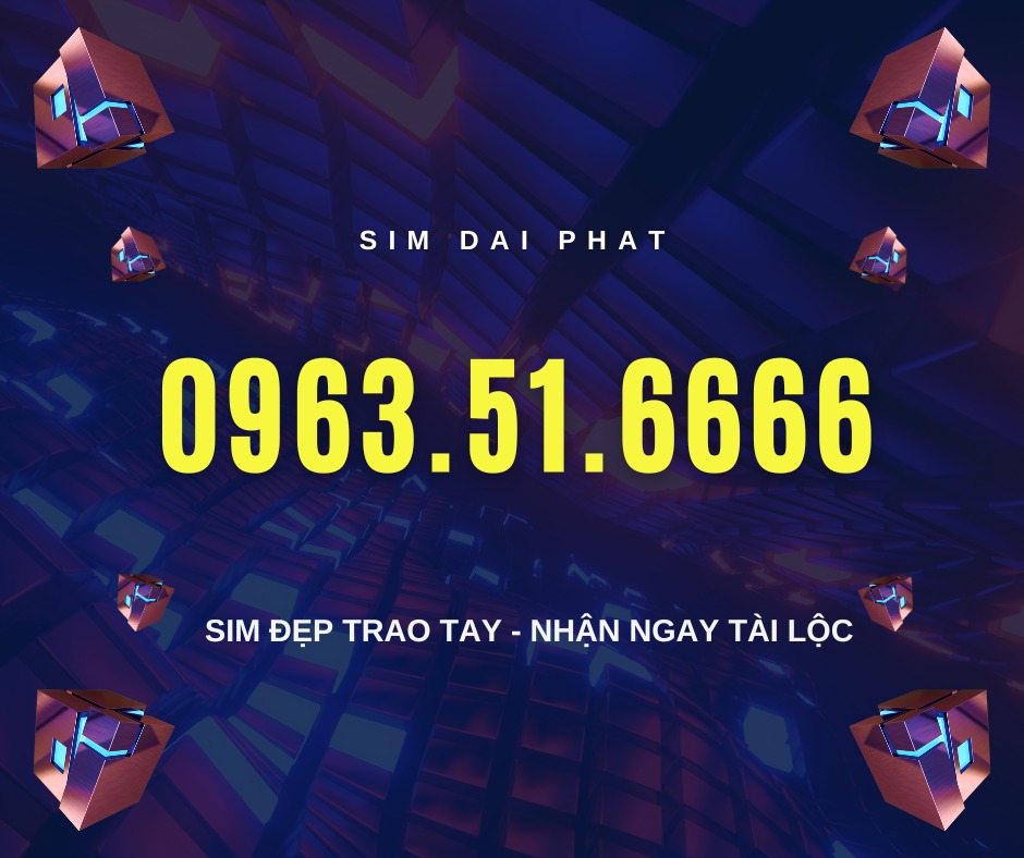 Sim Đại Phát ảnh 2