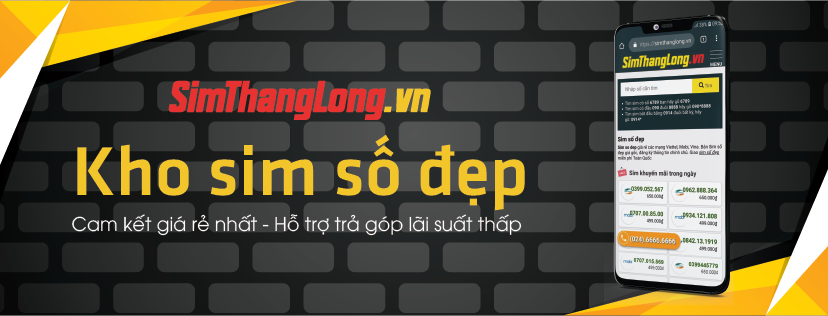 Sim Thăng Long ảnh 1