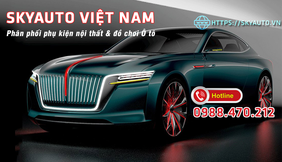 SkyAuto Việt Nam ảnh 1