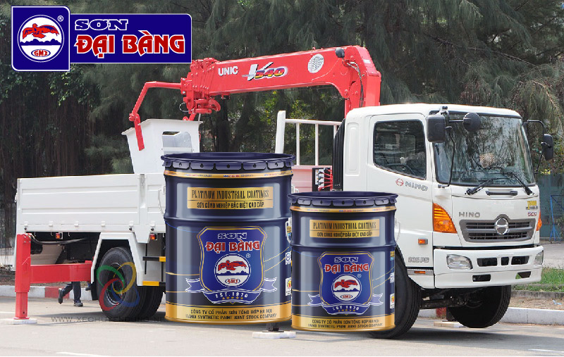 Sơn Đại Bàng ảnh 2