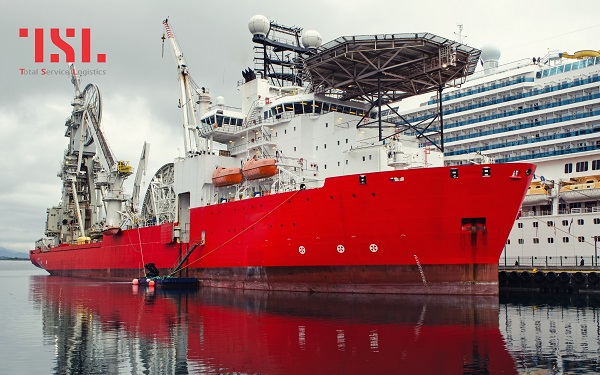 TSL Logistics- Total Service Logistics ảnh 2