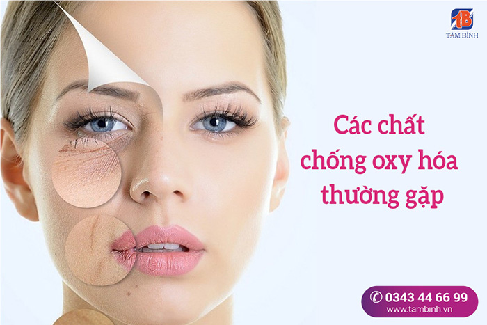 Tăng cường chất chống oxy hóa ảnh 1