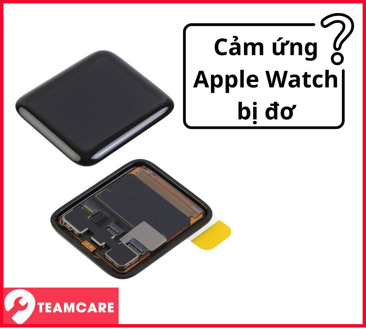TeamCare ảnh 1