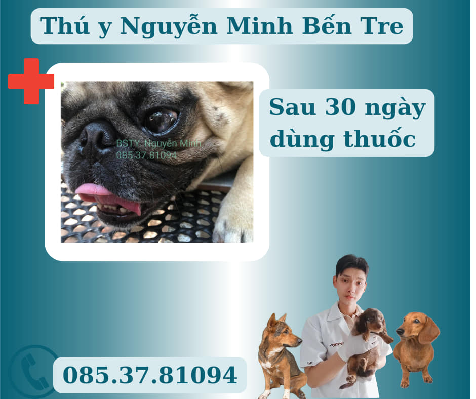 Thú Y Nguyễn Minh Bến Tre ảnh 1