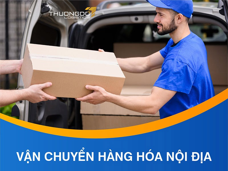 Thương Đô Logistics ảnh 1