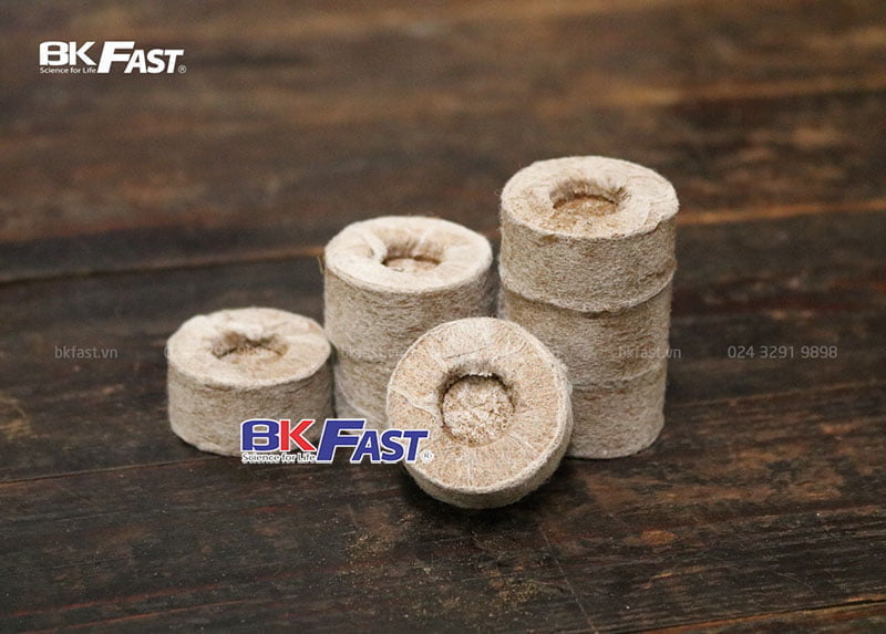 Thủy canh BKFast ảnh 1