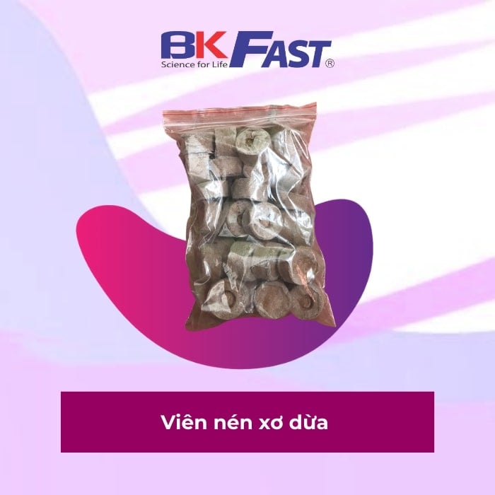 Thủy canh BKFast ảnh 2