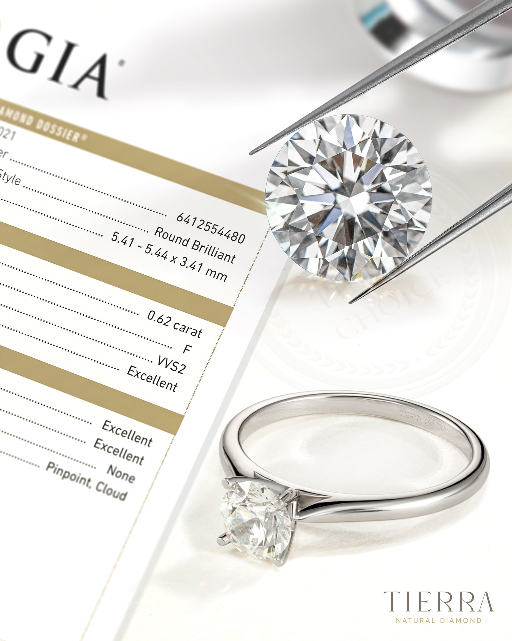 Tierra Diamond Jewelry ảnh 1