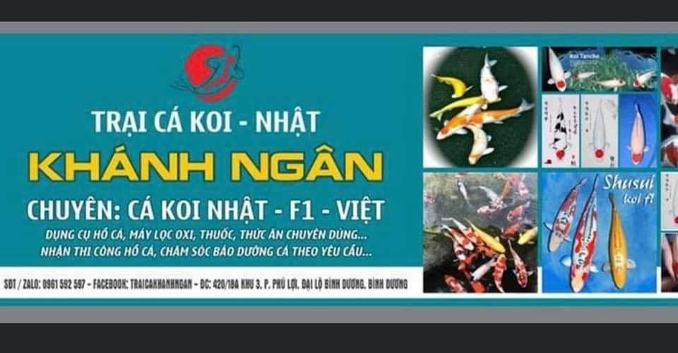 Trại Cá Khánh Ngân ảnh 1