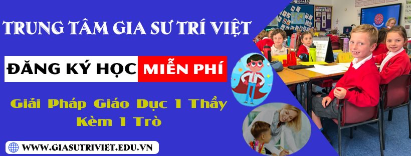 Trung Tâm Gia Sư Trí Việt ảnh 2