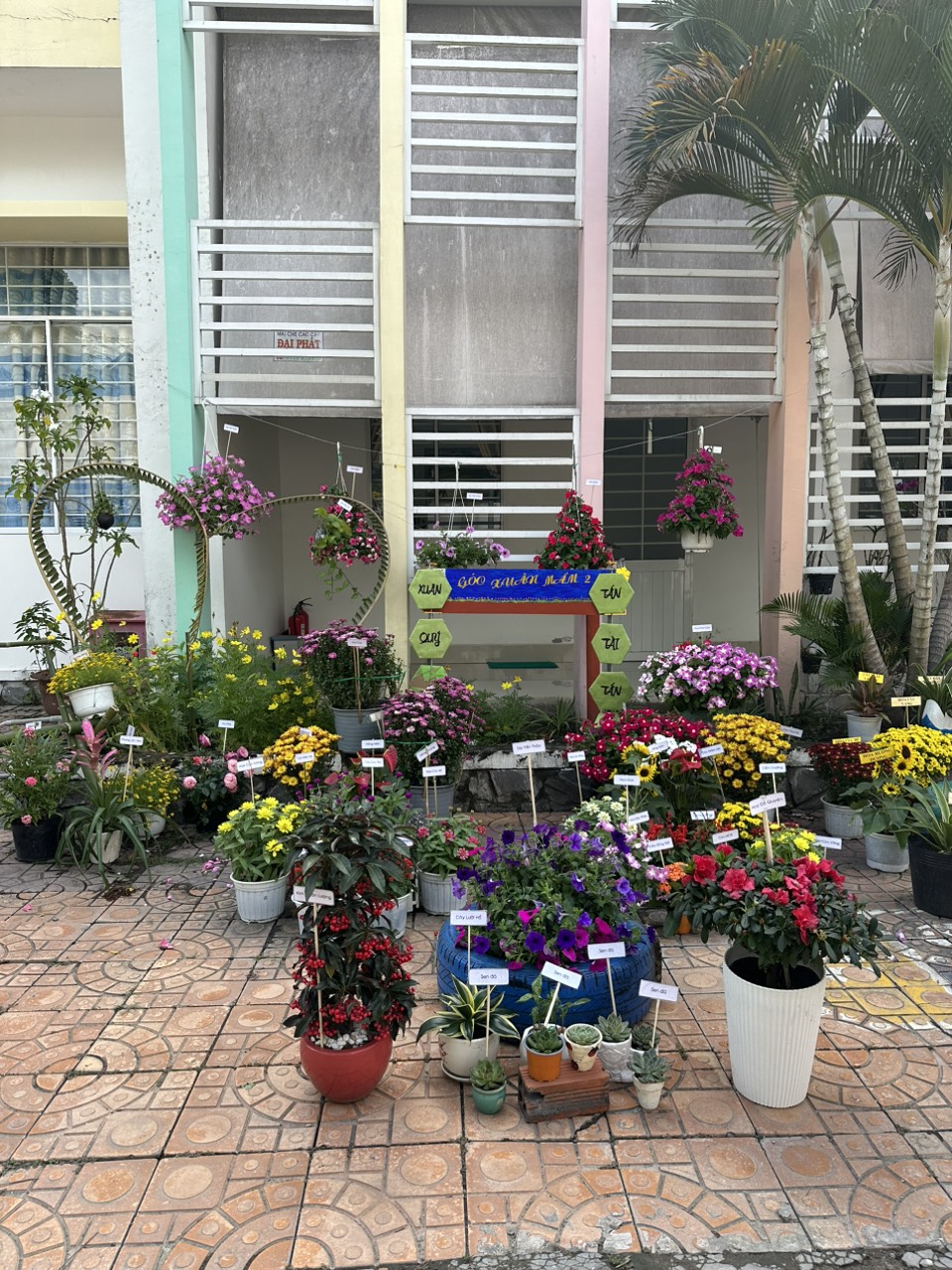 Trường Mầm Non Hồng Phát ảnh 2