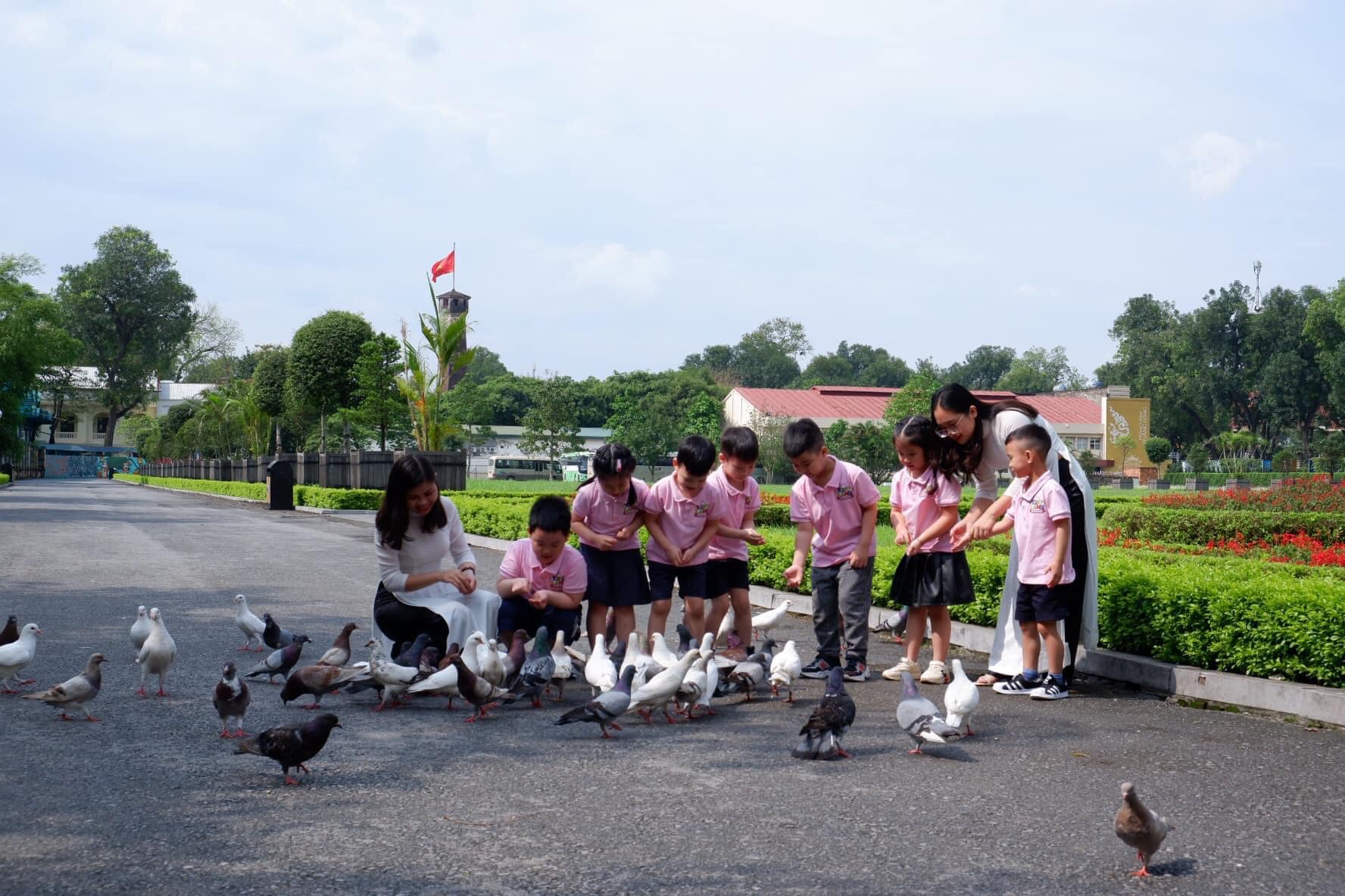 Trường mầm non tư thục tốt nhất quận Ba Đình, Hà Nội