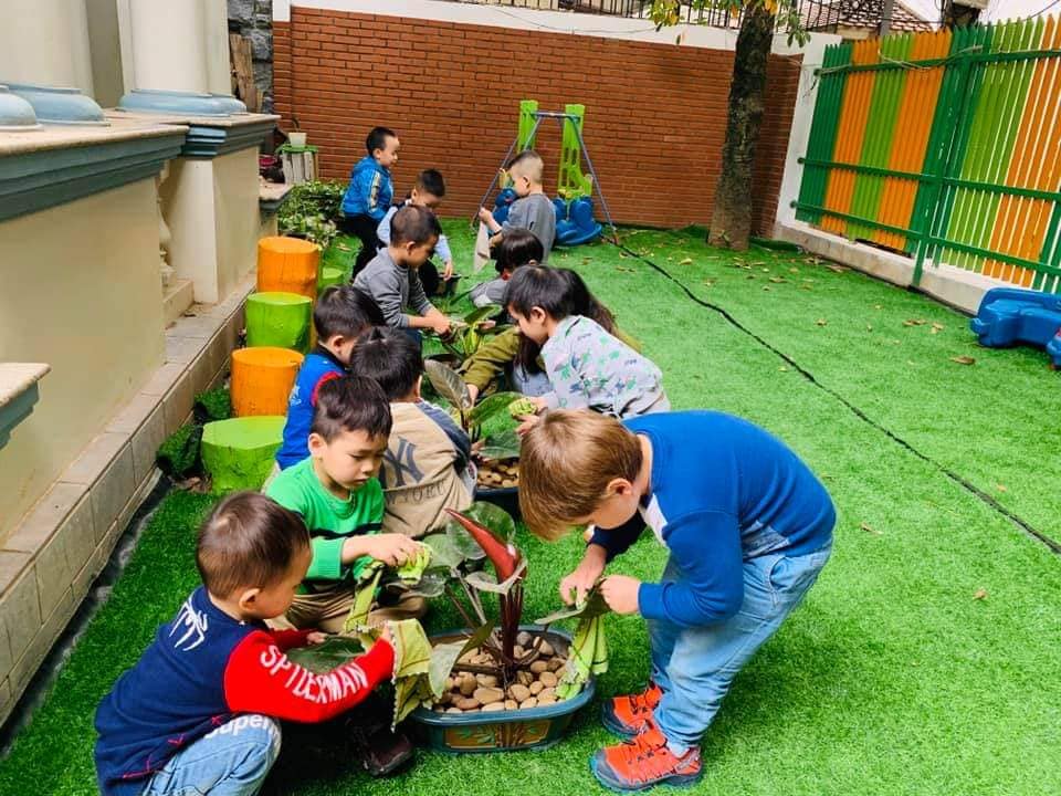 Trường Mầm non Ha Noi Osaki Montessori ảnh 1