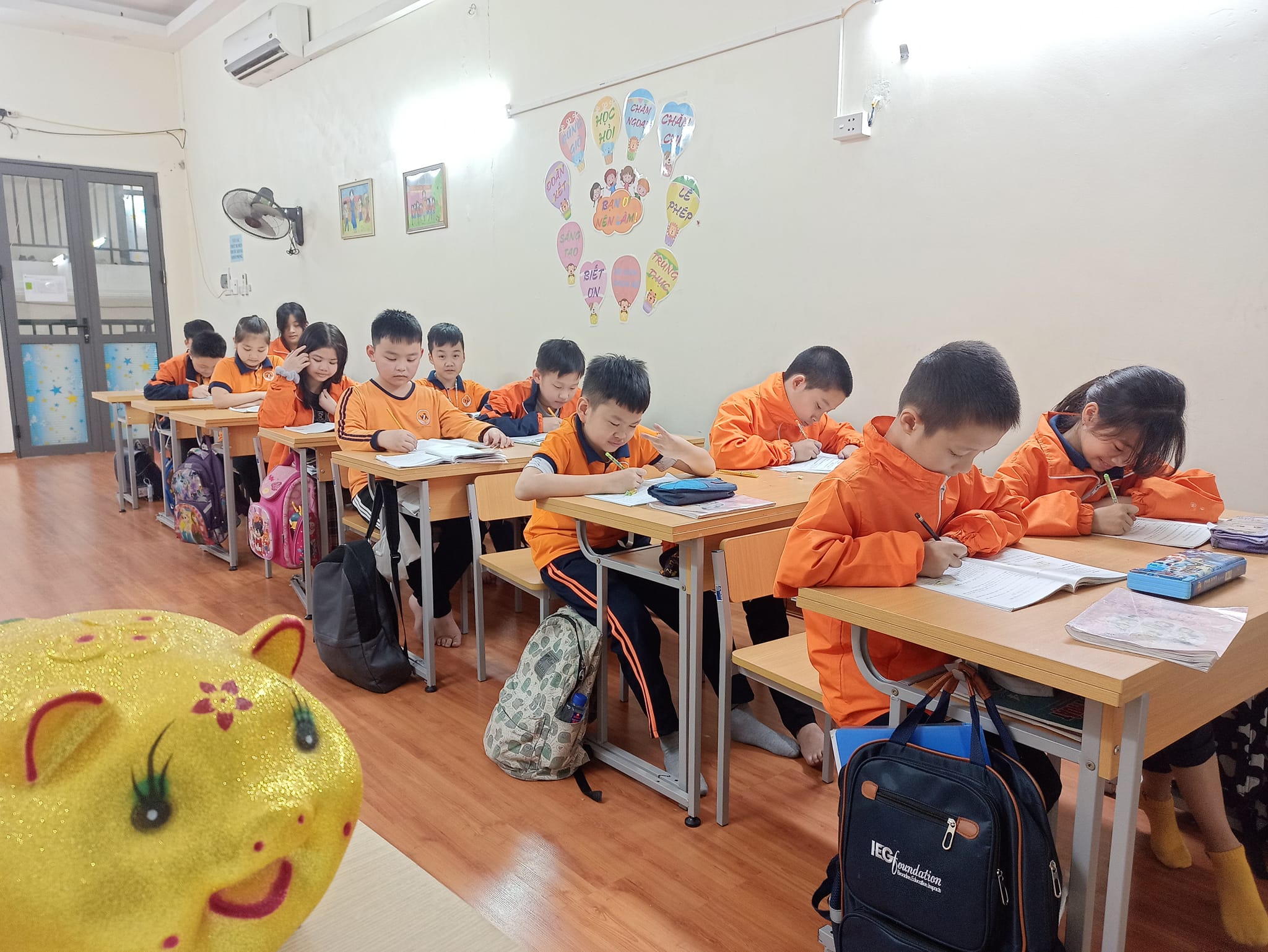 Trường Tiểu học và THCS Việt Anh ảnh 2