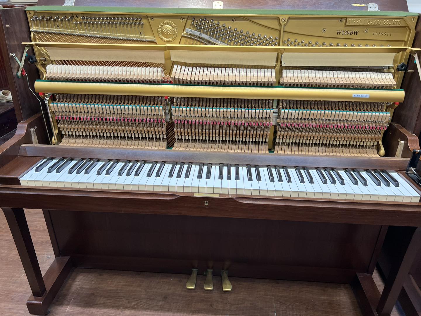 WORLD PIANO ảnh 2