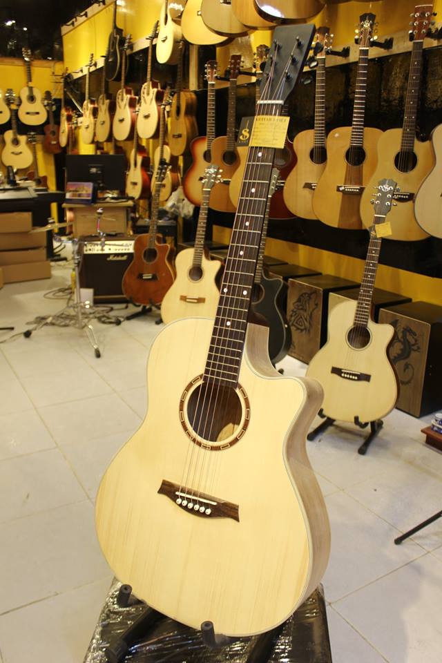 2C Guitar ảnh 2