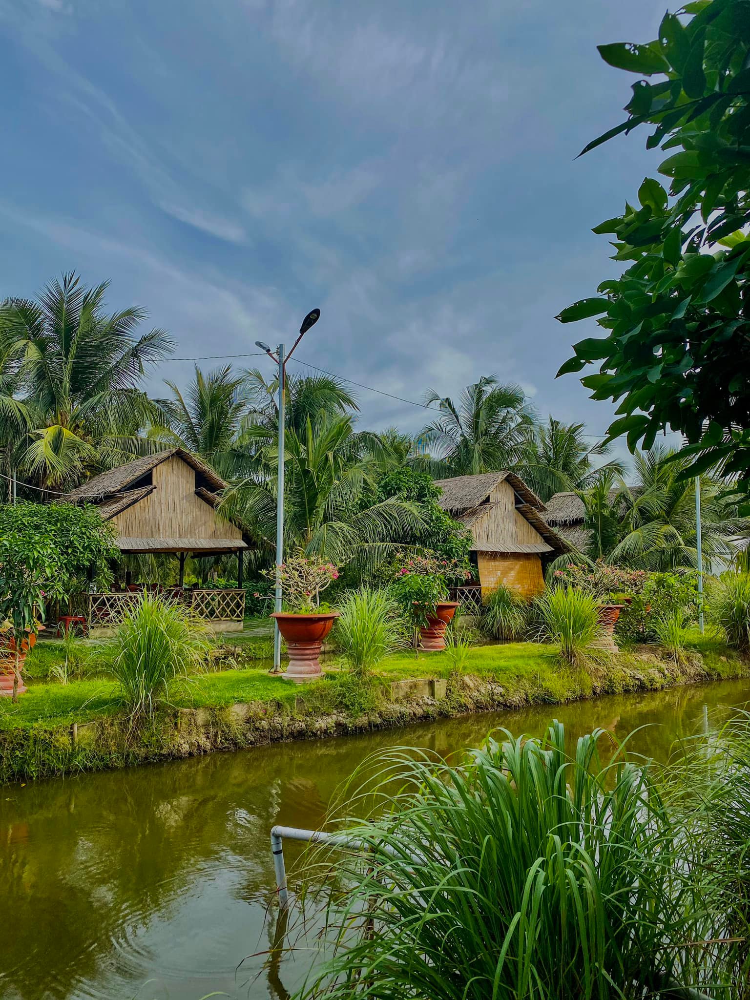 Ẩm Thực Hoa Súng ảnh 2