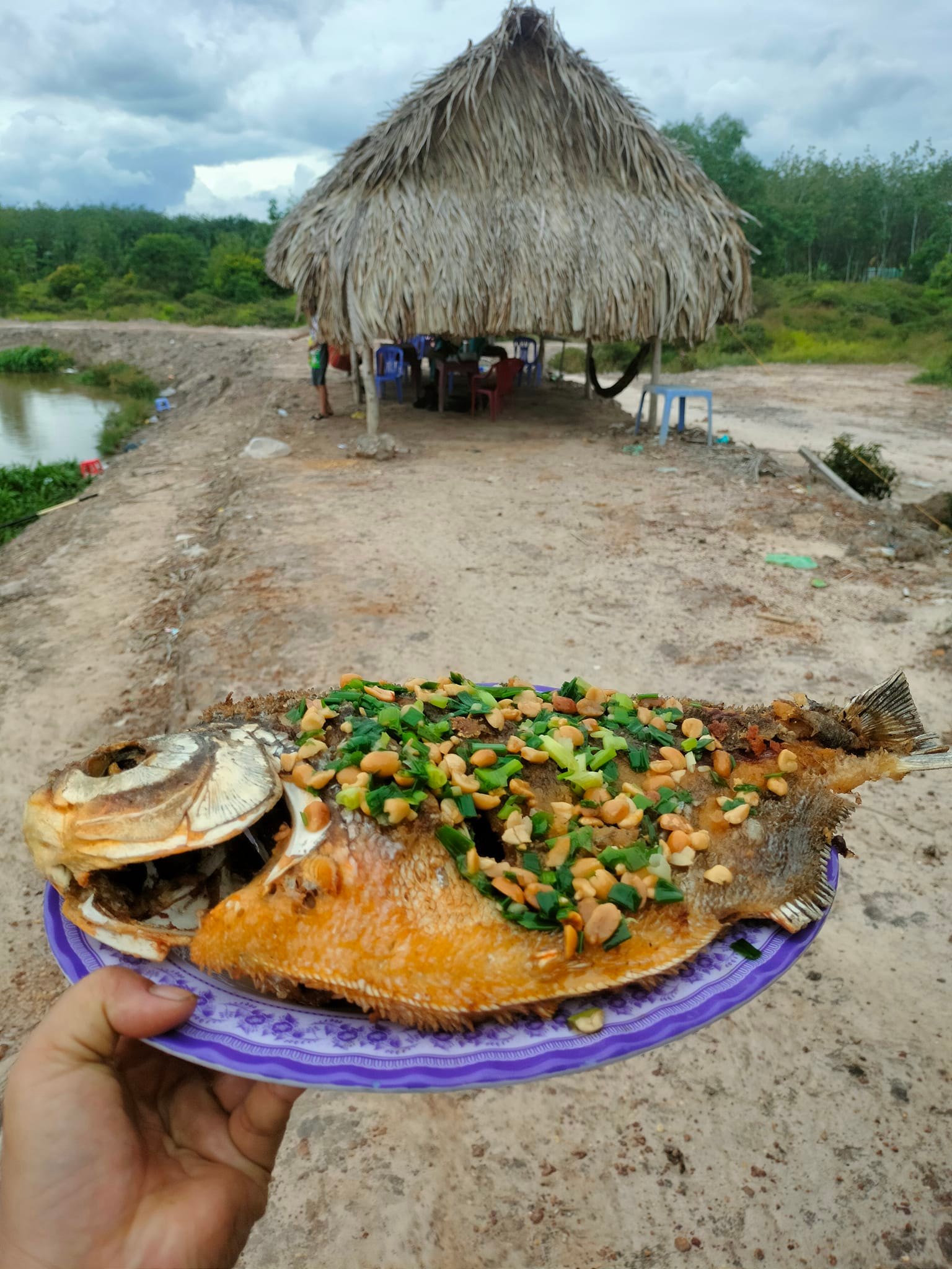 Hồ Câu Bảo An ảnh 2