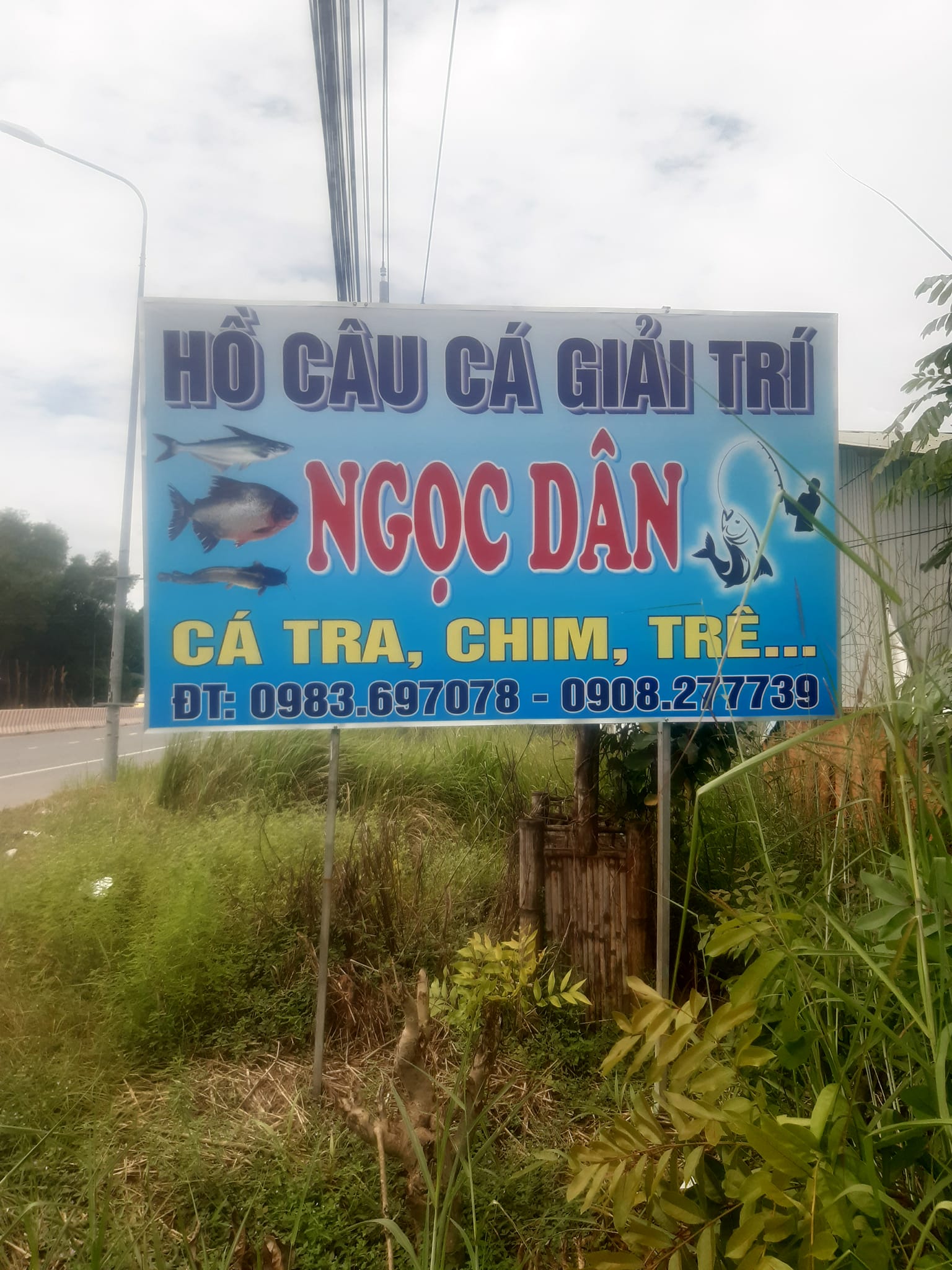 Hồ Câu Ngọc Dân ảnh 2