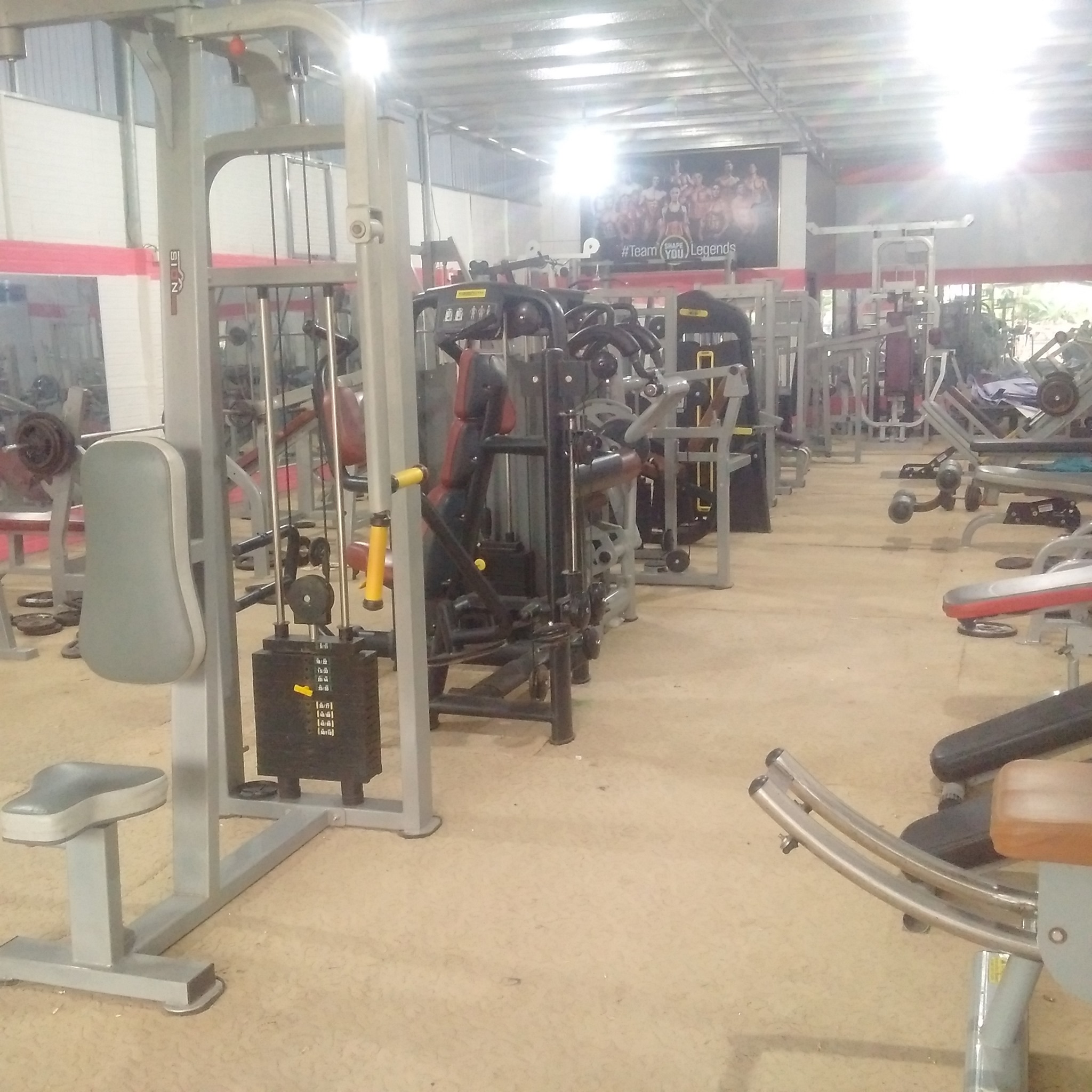 Lê Gia Gym ảnh 1