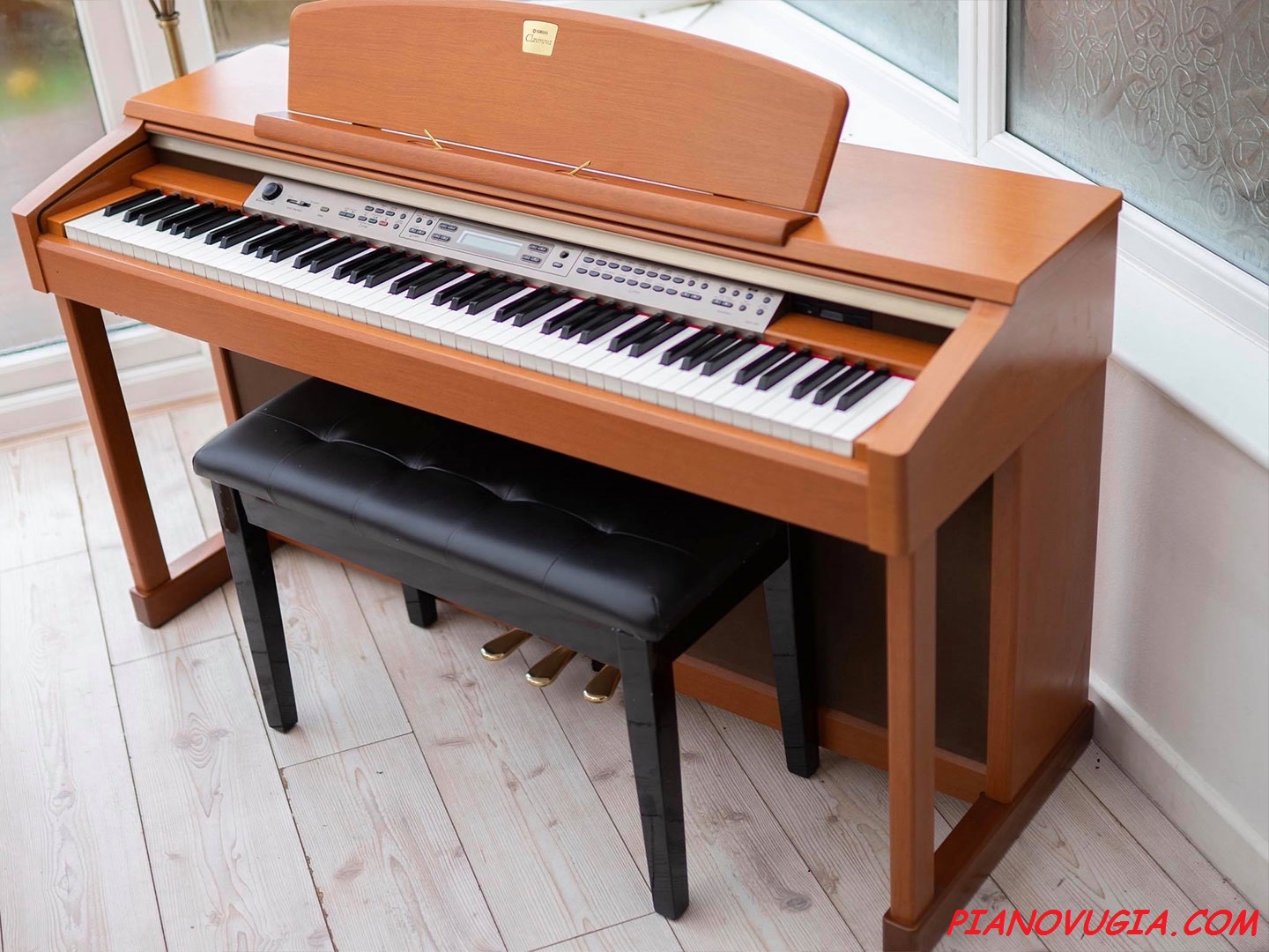 Piano Vũ Gia ảnh 1