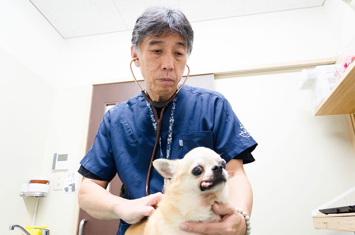 Sasaki Animal Hospital ảnh 2