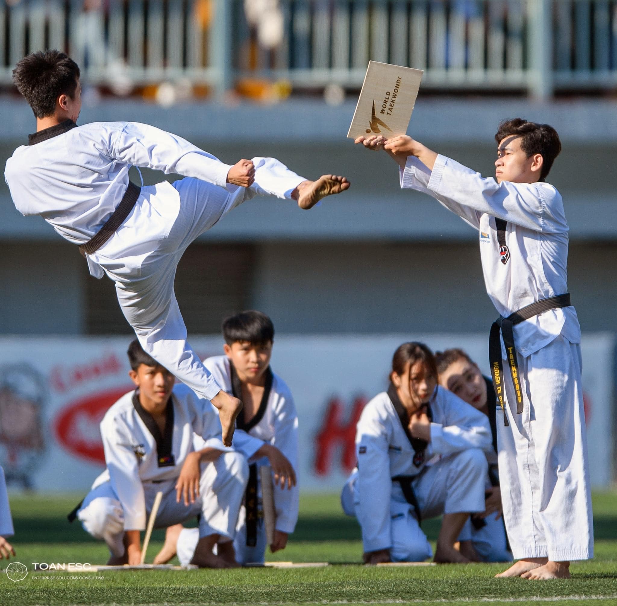 Taekwondo Bạch Hổ ảnh 1