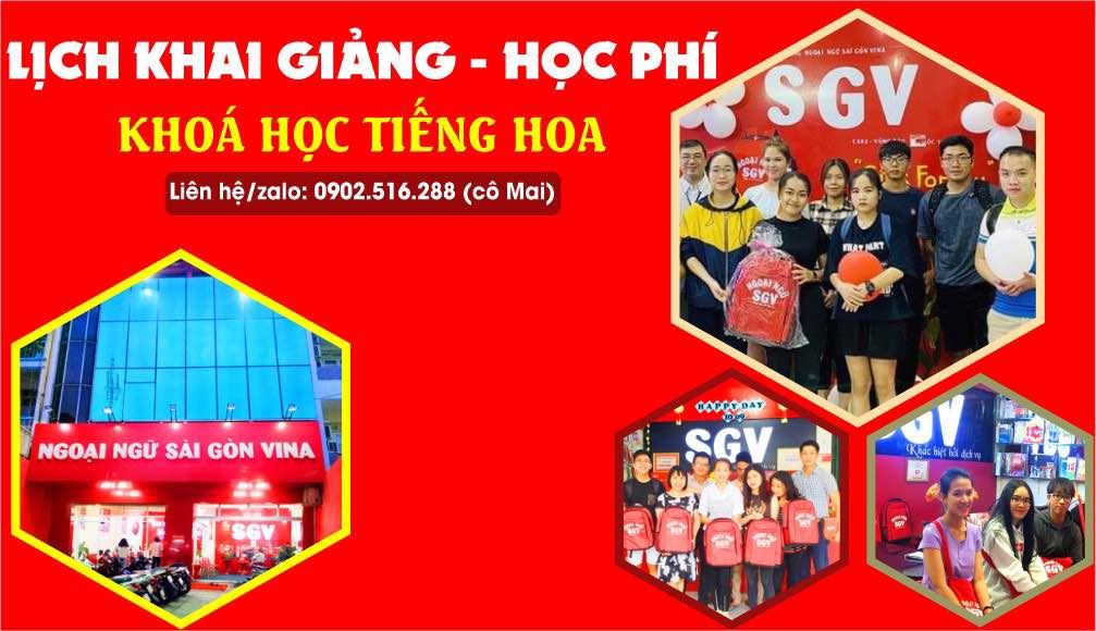 Trung Tâm Ngoại Ngữ Sài Gòn Vina (SGV) ảnh 2