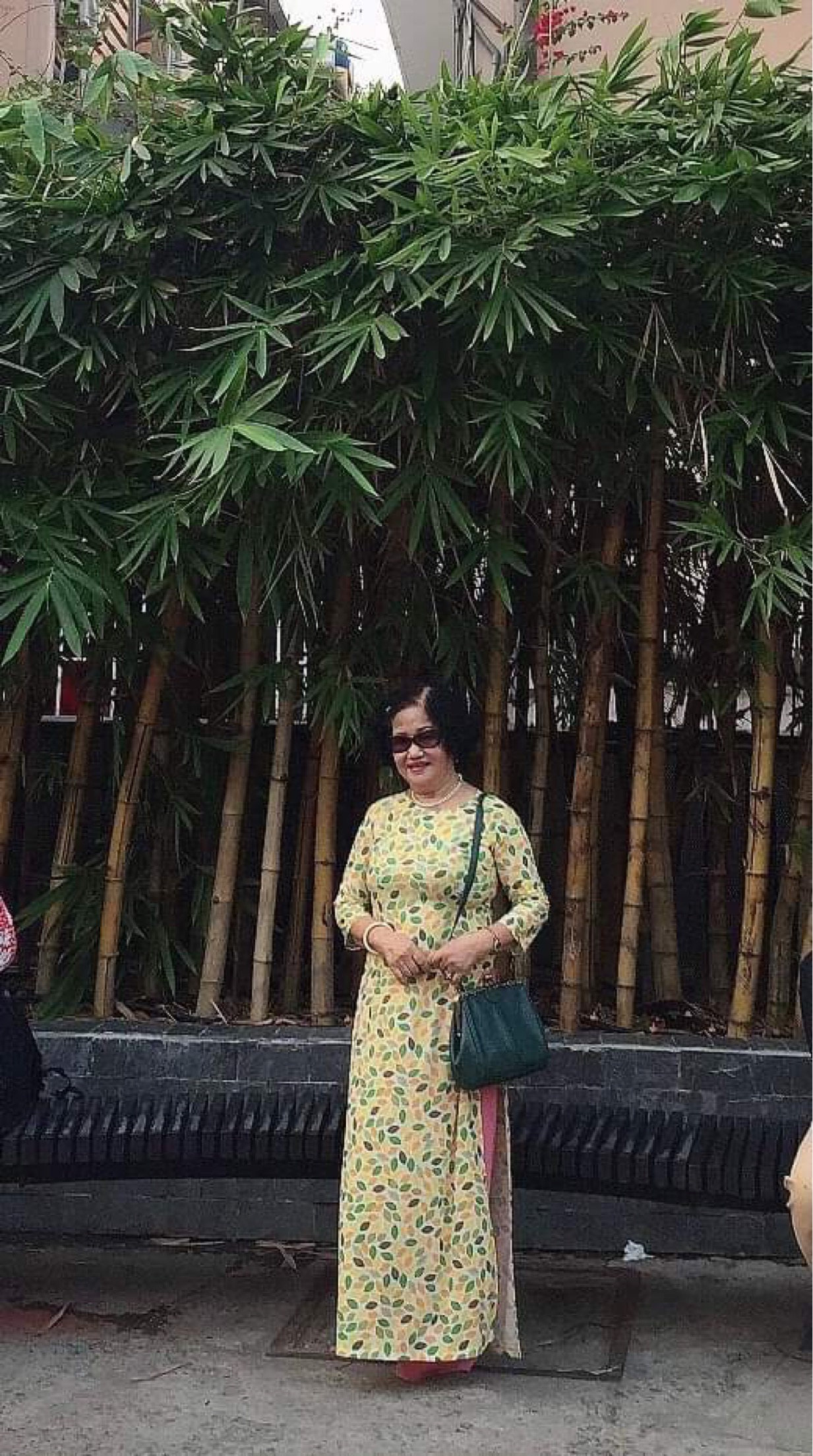 Nhà thơ Huong Mrs Le ảnh 1