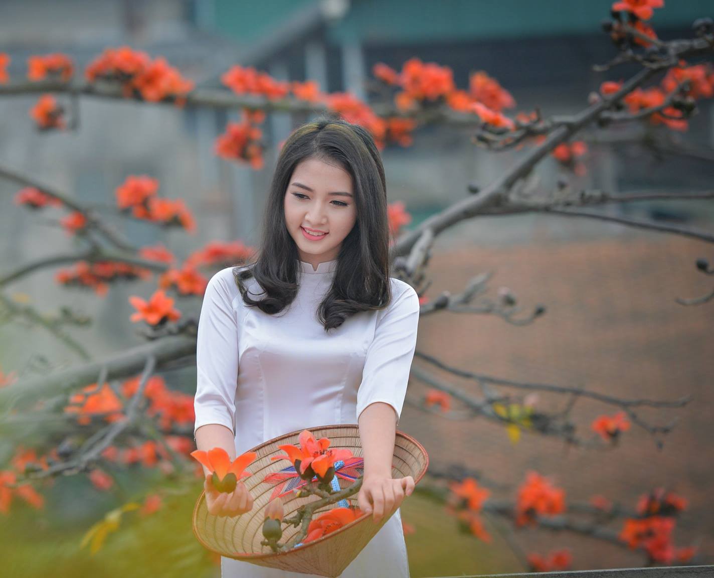 Top 12 Bài thơ hay viết về mùa hoa gạo tháng ba - AllTop.vn