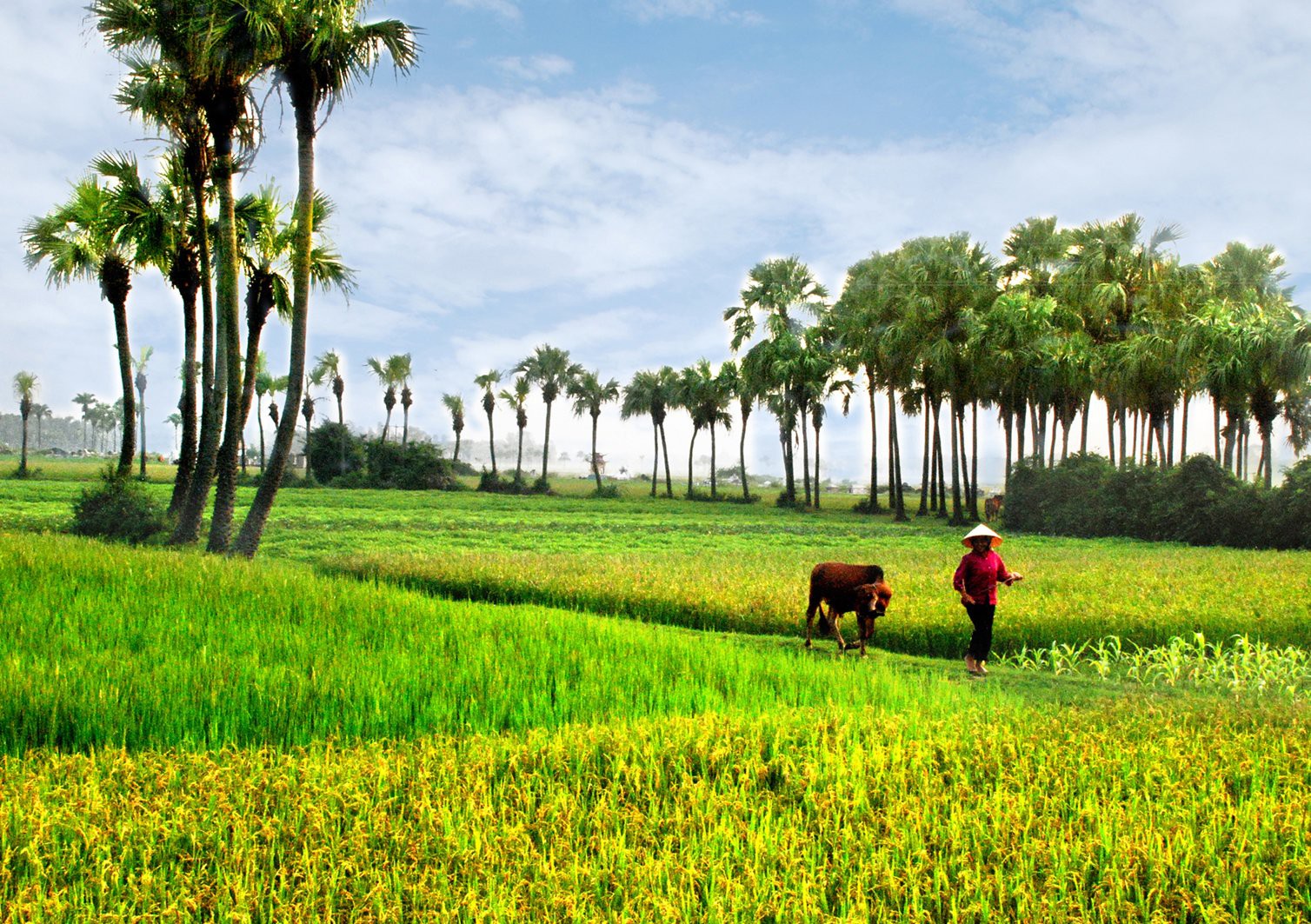 Bài thơ hay viết về làng quê